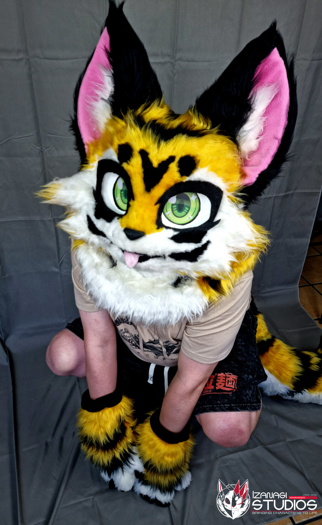 The Tiger fursuit being silly